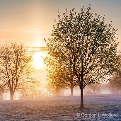 Rideau Canal Sunrise_23548.jpg - Photographed along the Rideau Canal Waterway at Smiths Falls, Ontario, Canada.